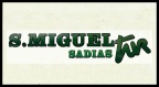 289  -    S.  MIGUEL   TUR       (     Ag.  Viagens  e  Turismo   SÃO   MIGUEL   Ltda   )       SADIAS   
